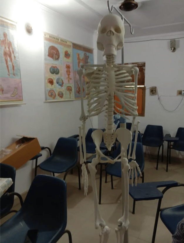 Indo Global Healthcare Institute College Activities photo 31